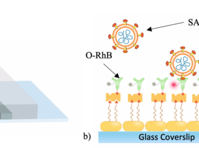 Penn State Professor of Chemistry Paul Cremer is developing a biosensor platform that could be used to perform real-time, continuous detection of SARS-CoV-2. When the virus binds to the sensor, a compound fluoresces, indicating that the virus is present in the room. IMAGE: PENN STATE