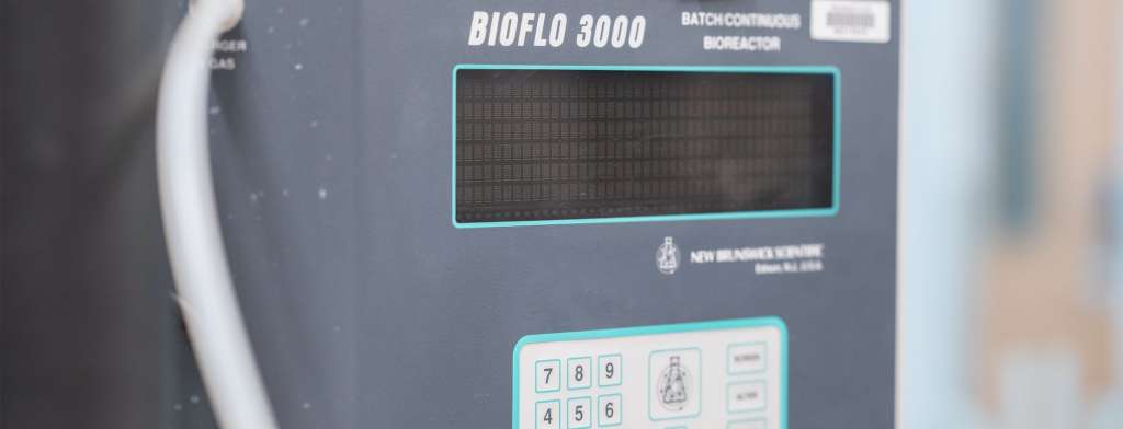 New Brunswick BioFlo 3000