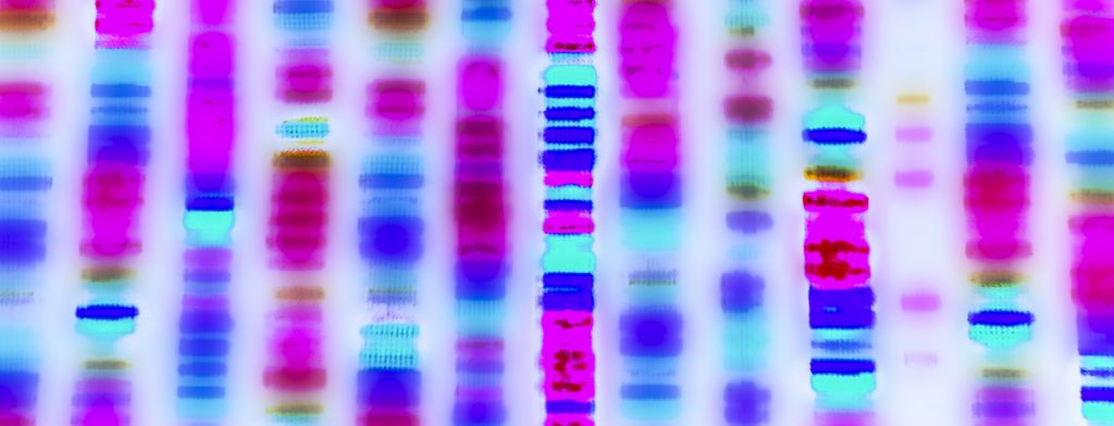 Colorful graphic representation of a DNA sequence