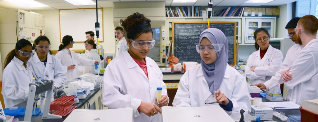 Students working in lab