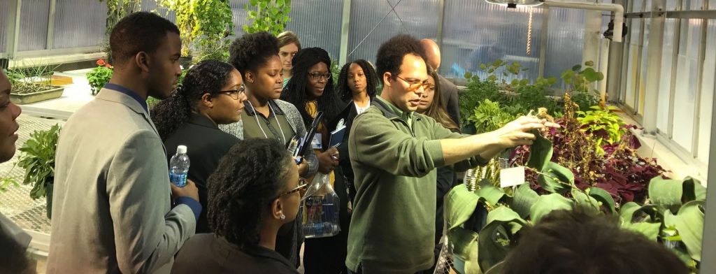 Students in a greenhouse