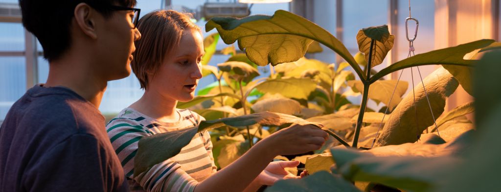 Plant Biology Grad Students