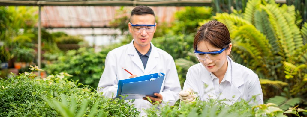 Two scientists in a greenhouse. One is leading forward and inspecting a plat. The other is holding a binder and a pencil and taking notes.