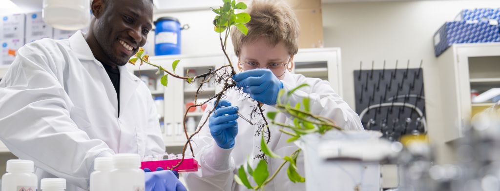 two scientists studying a plant specimen in a lab
