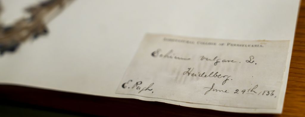 banner for history and collection: evan pugh's handwritten tag on an herbarium specimen