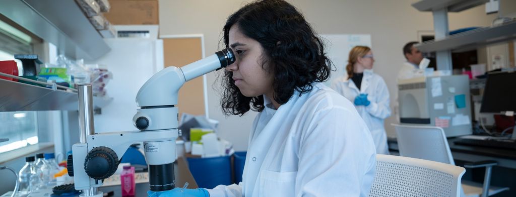 Why Choose CIDD banner - woman sitting at microscope