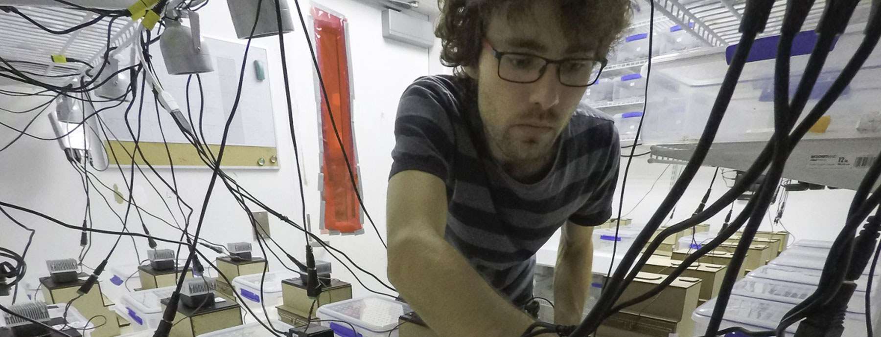 Graduate student working in the CIDD labs