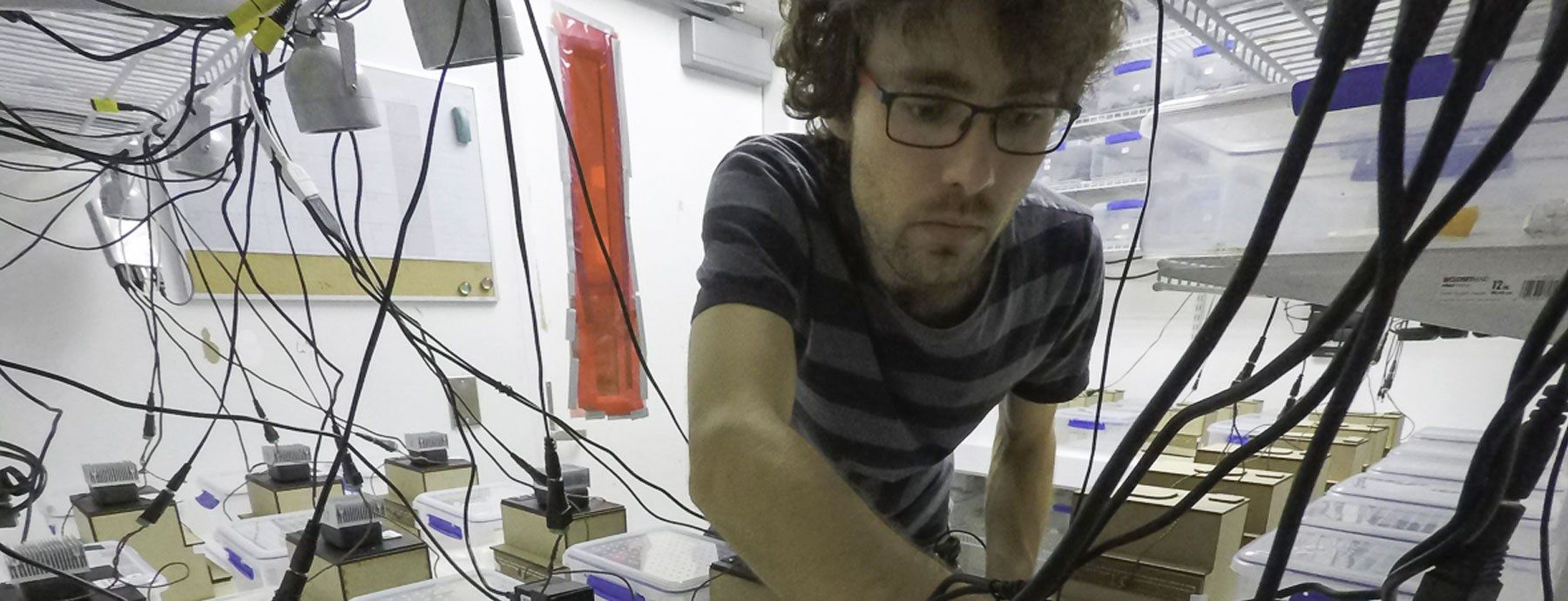 Graduate student working in the CIDD labs