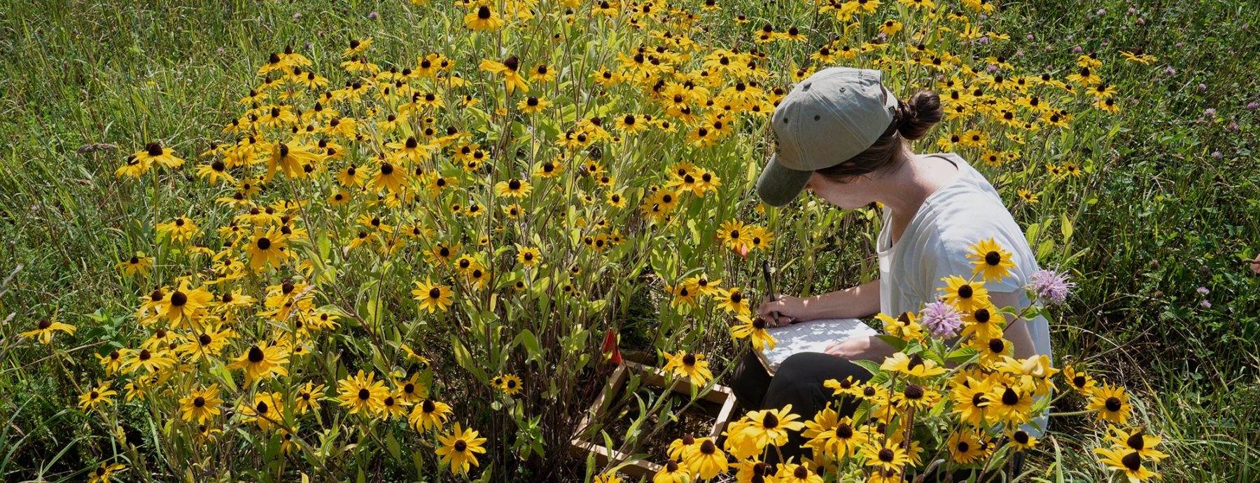 Student working in field
