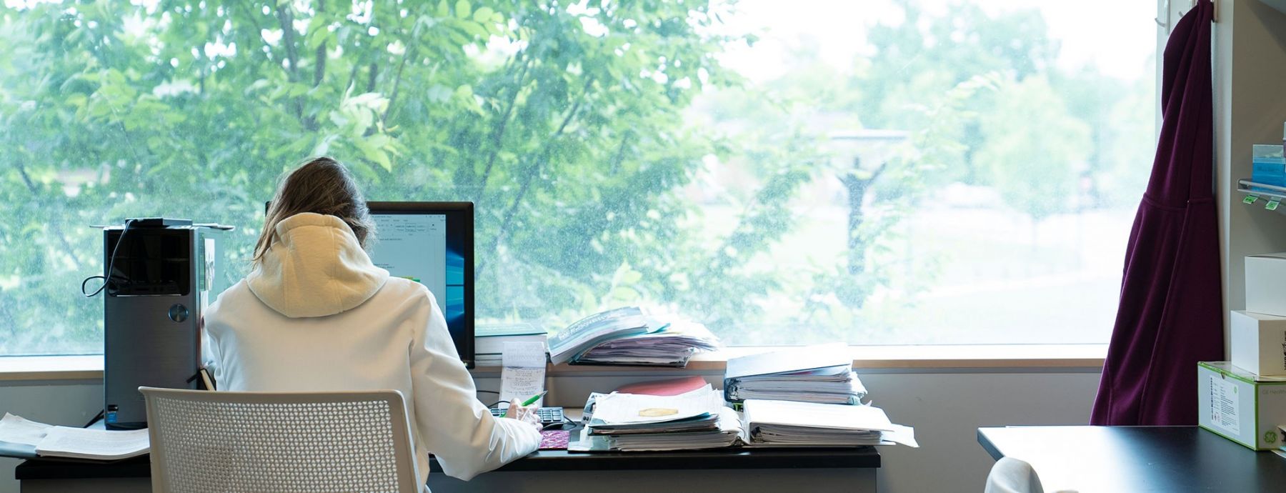 Researcher working in a lab