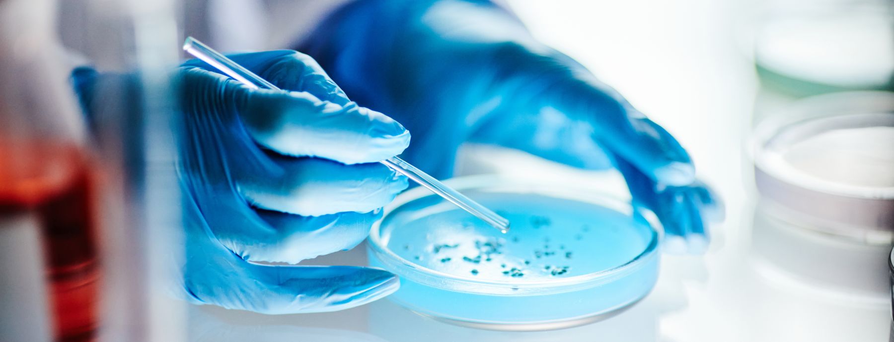 A scientist holds a petri dish