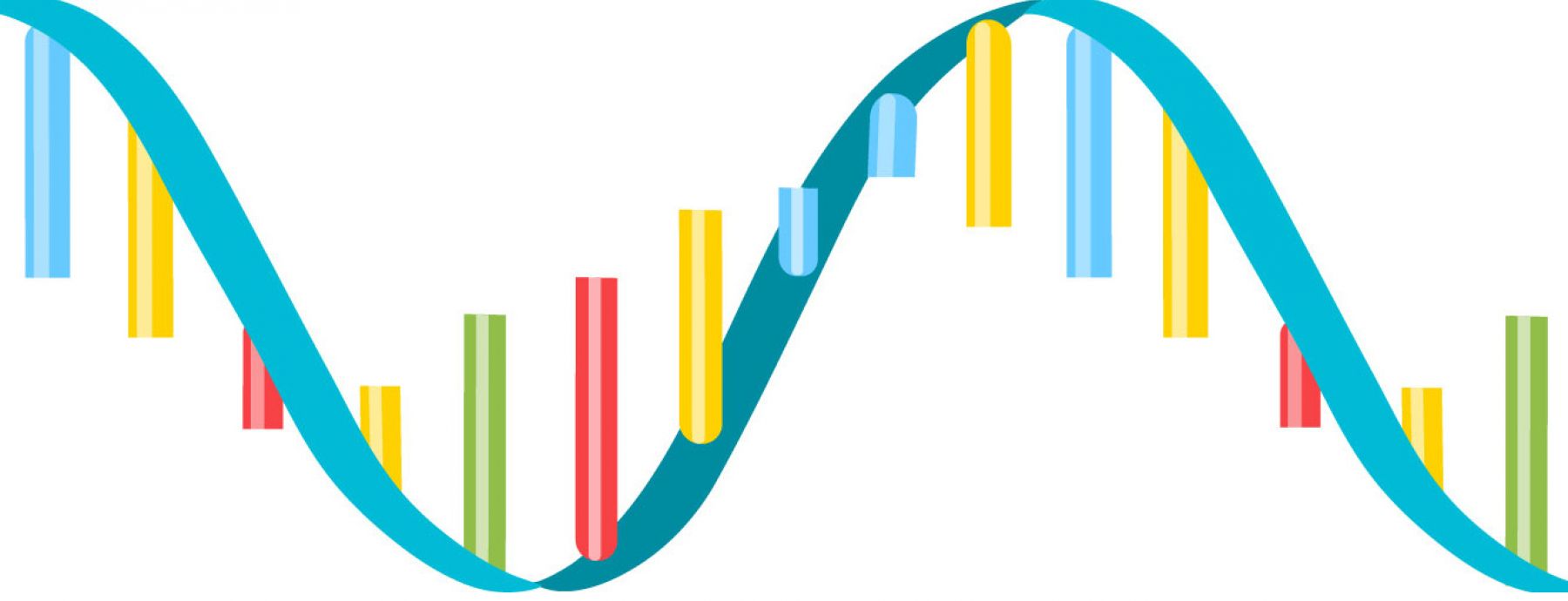 Focuses on understanding the function of systems involving ribonucleic acids (RNA) at the molecular level.