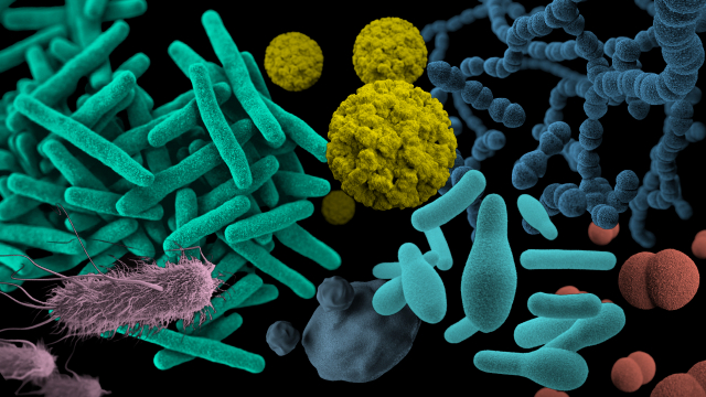 Microbiome color image