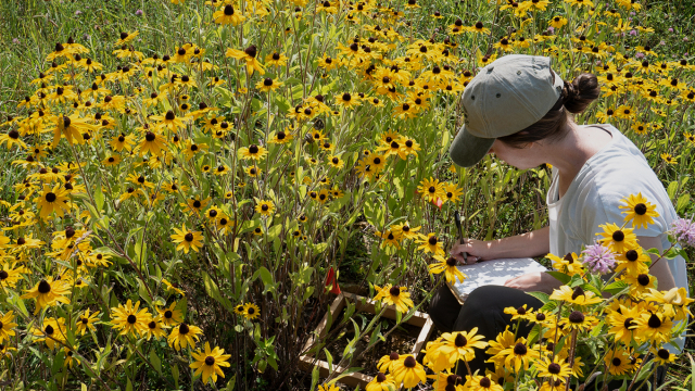 Student working in field