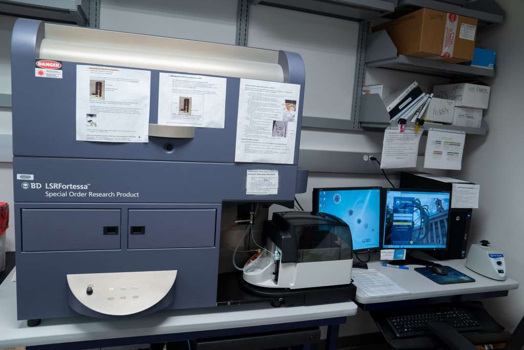 BD SORP LSRFortessa Cytometer