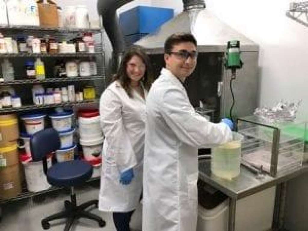 working in the lab