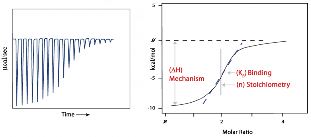 Binding Curve