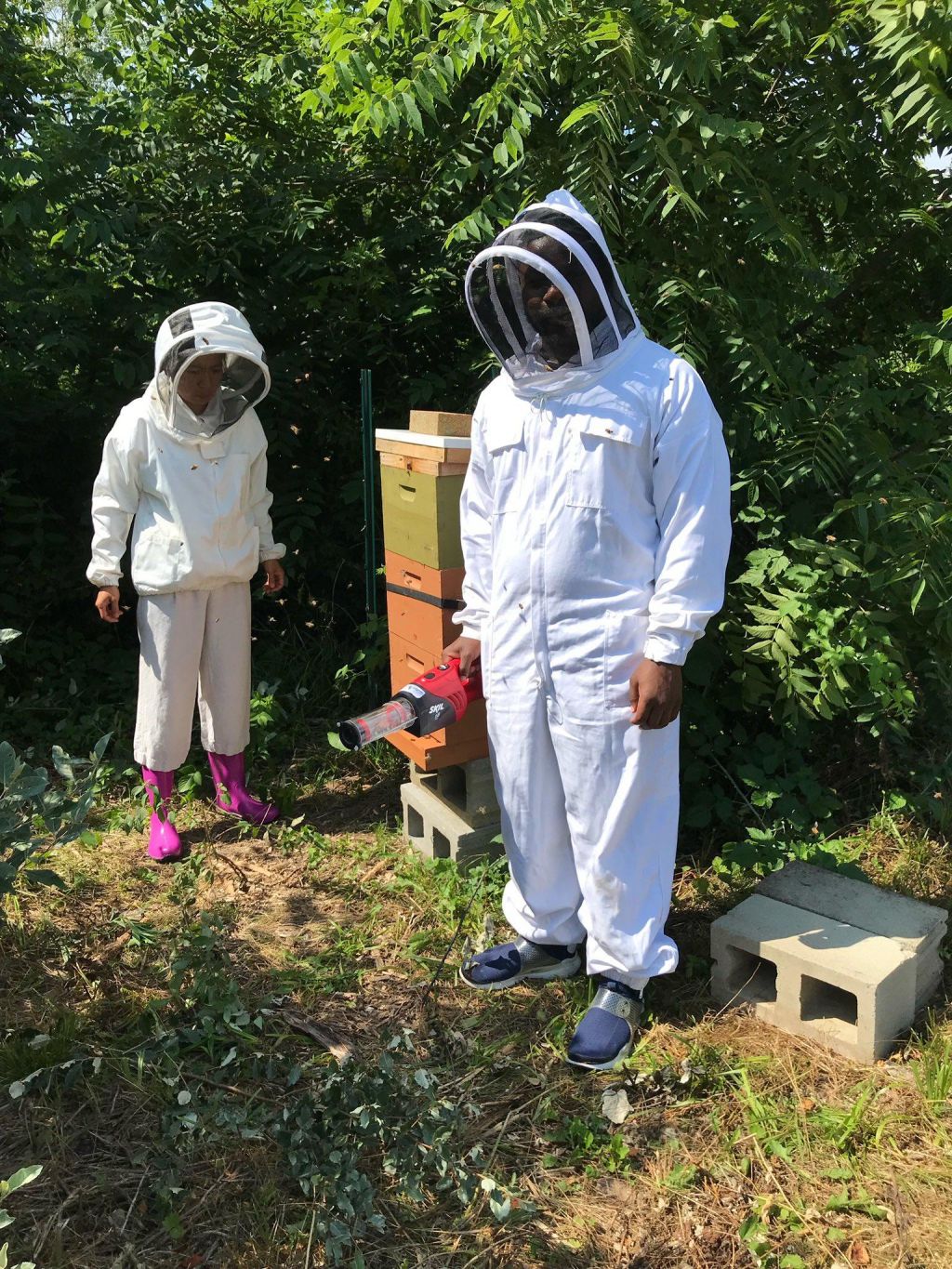 CSU's Hongmei Li-Byarlay works performs a honey bee hive inspection with an undergraduate researcher