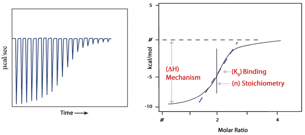 Binding Curve