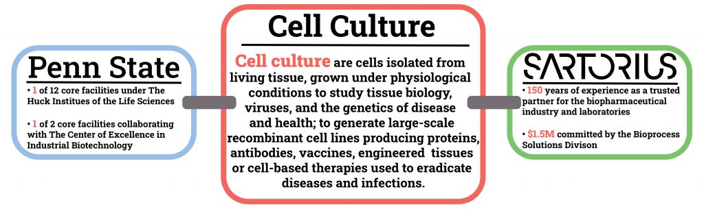 The Sartorius Cell Culture Facility