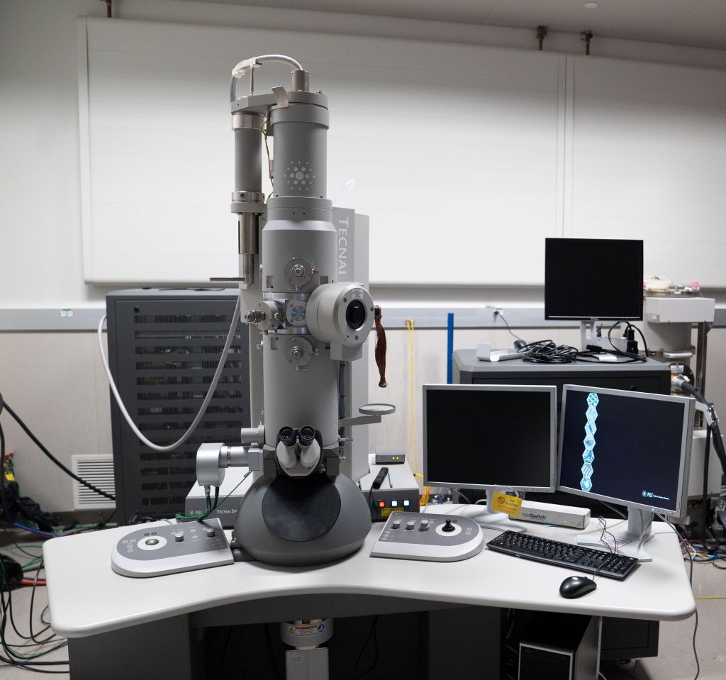 Tecnai BioTwin Spirit