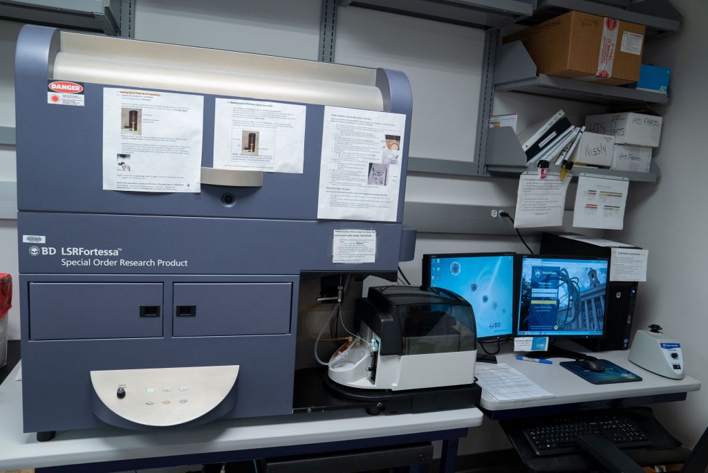 BD SORP LSRFortessa Cytometer