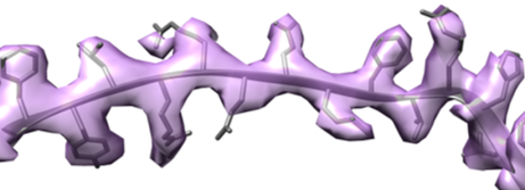 HPV16 Beta sheet