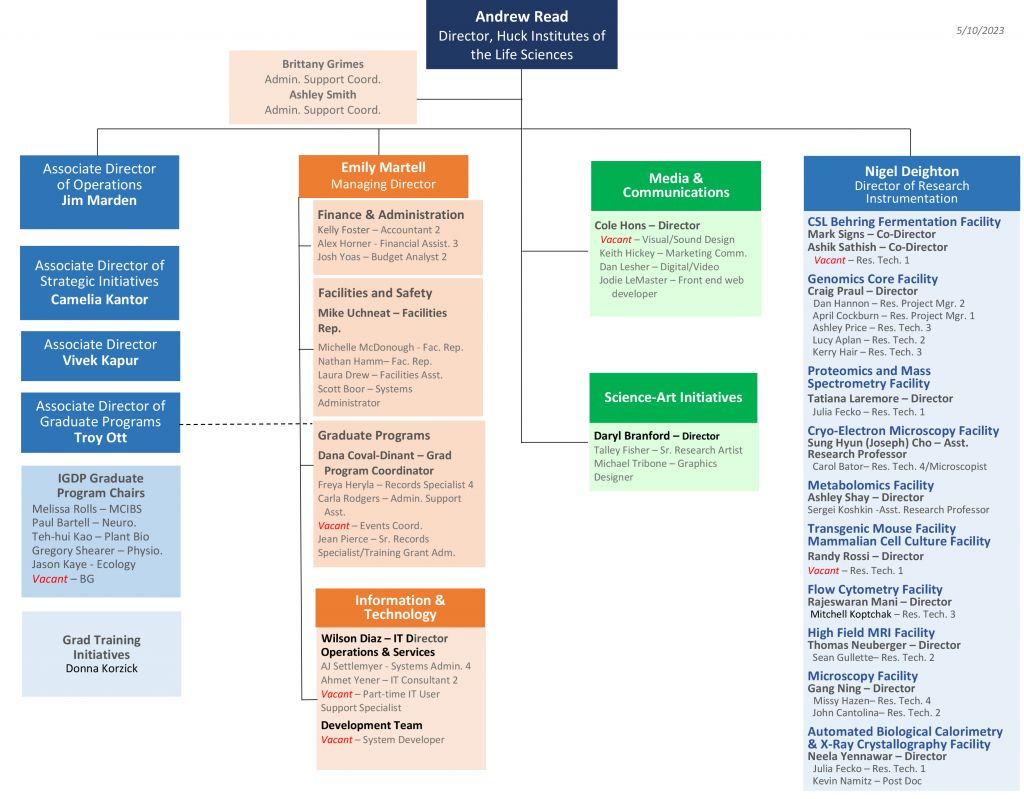 Huck Org Chart