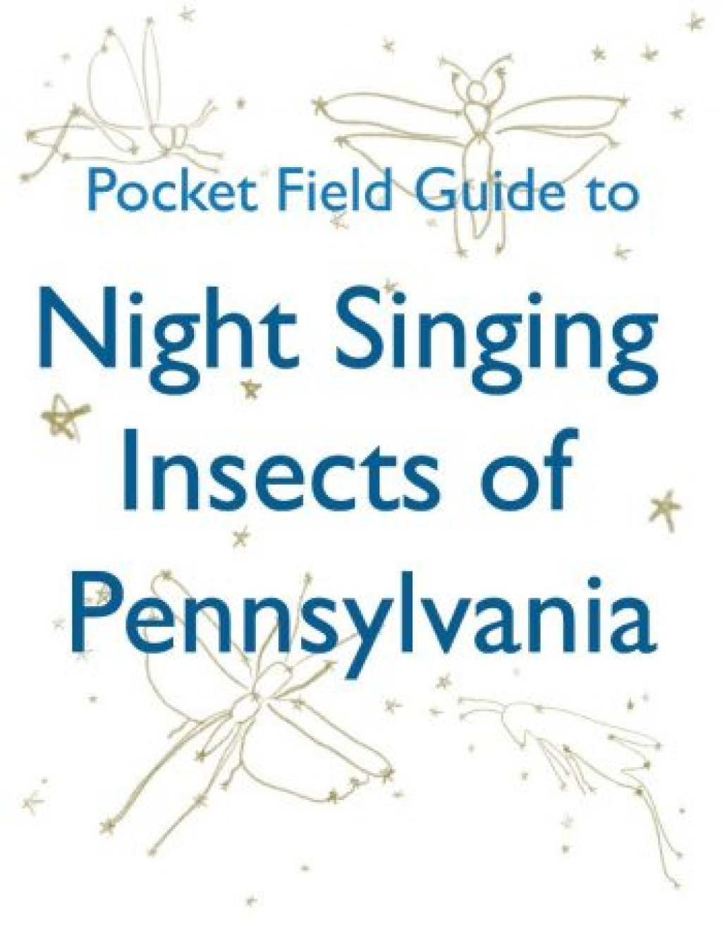 Night Singing Insects Cover