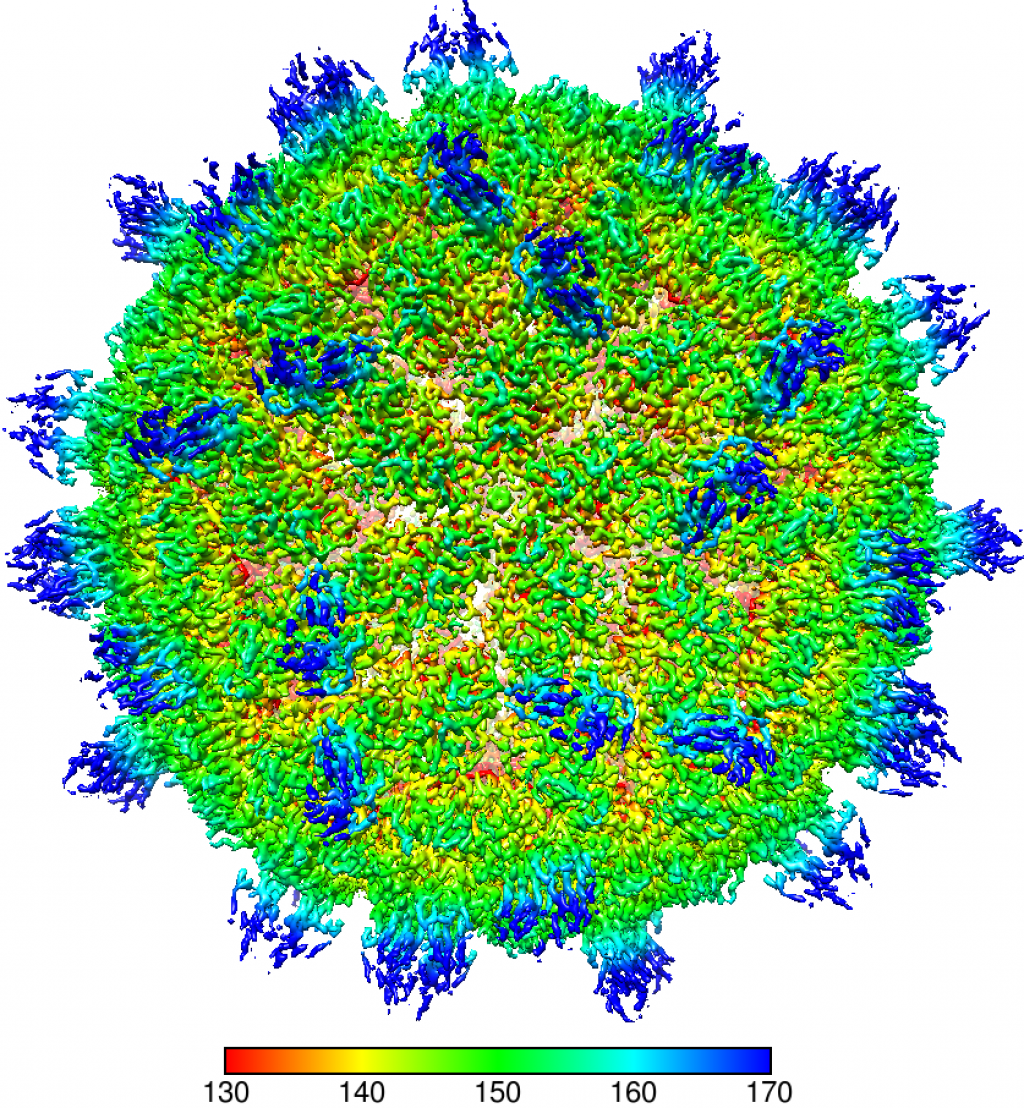 Pcv1 colored radially