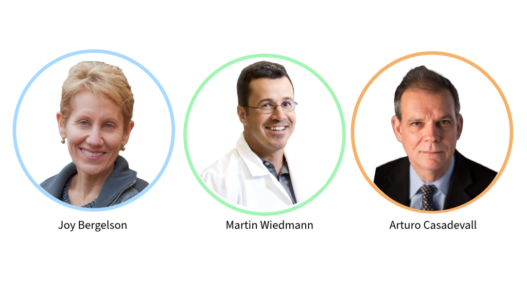 Three professional headshots.