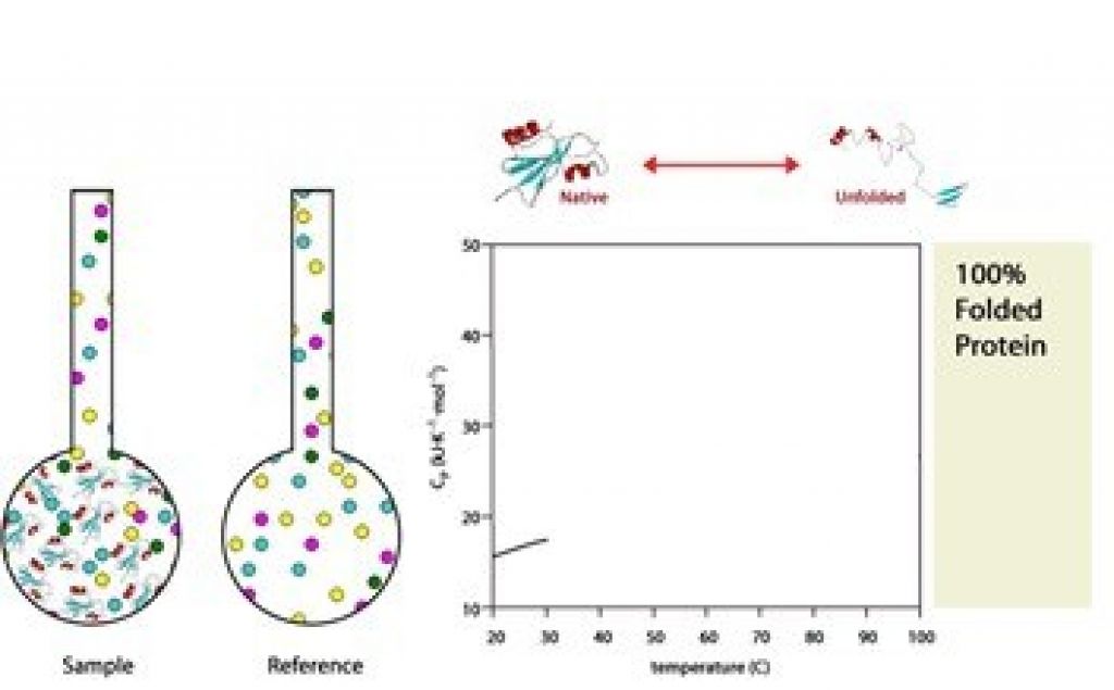 Differential Scanning Calorimetry diagram