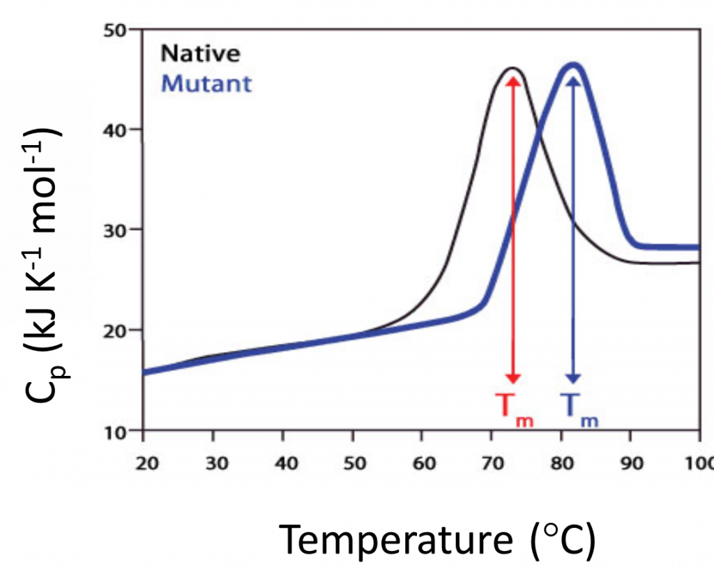 Differential Scanning Calorimetry diagram