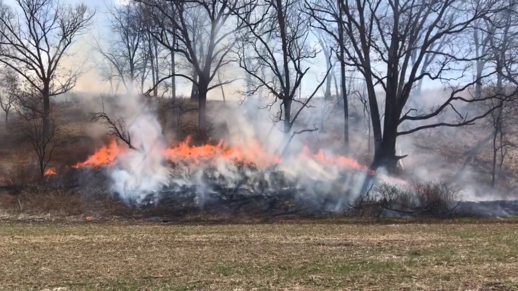 A controlled burn in Scotia Barrens