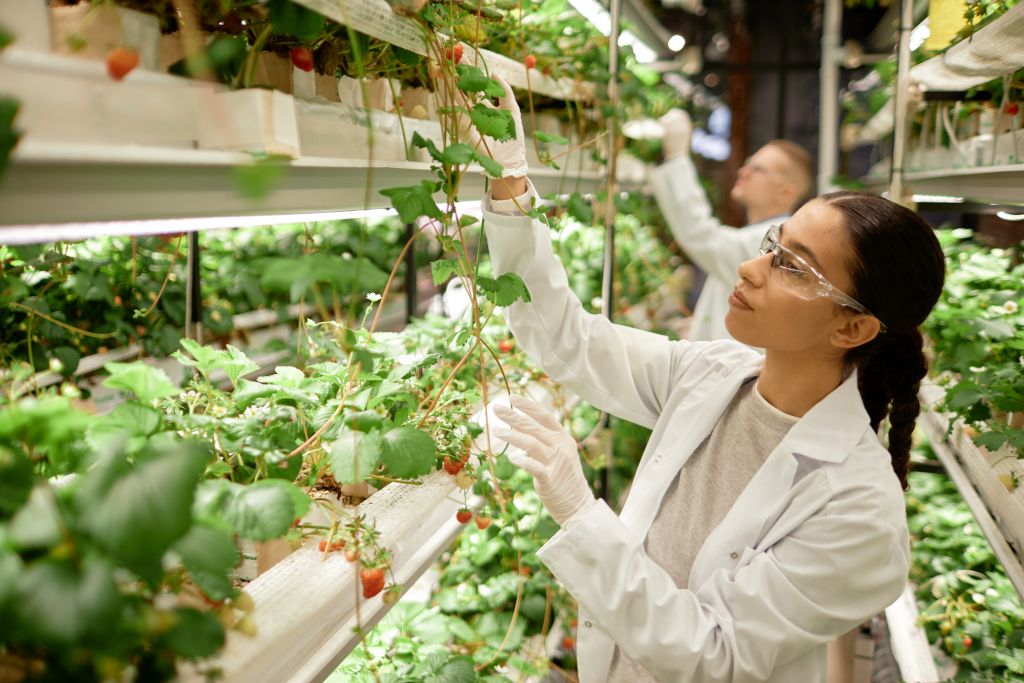Scientists monitoring plant health