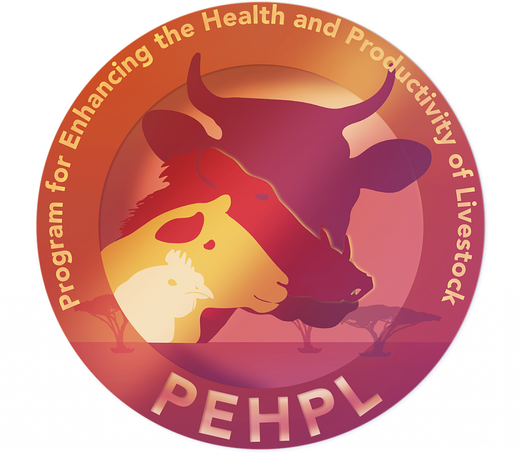 PEHPL logo
