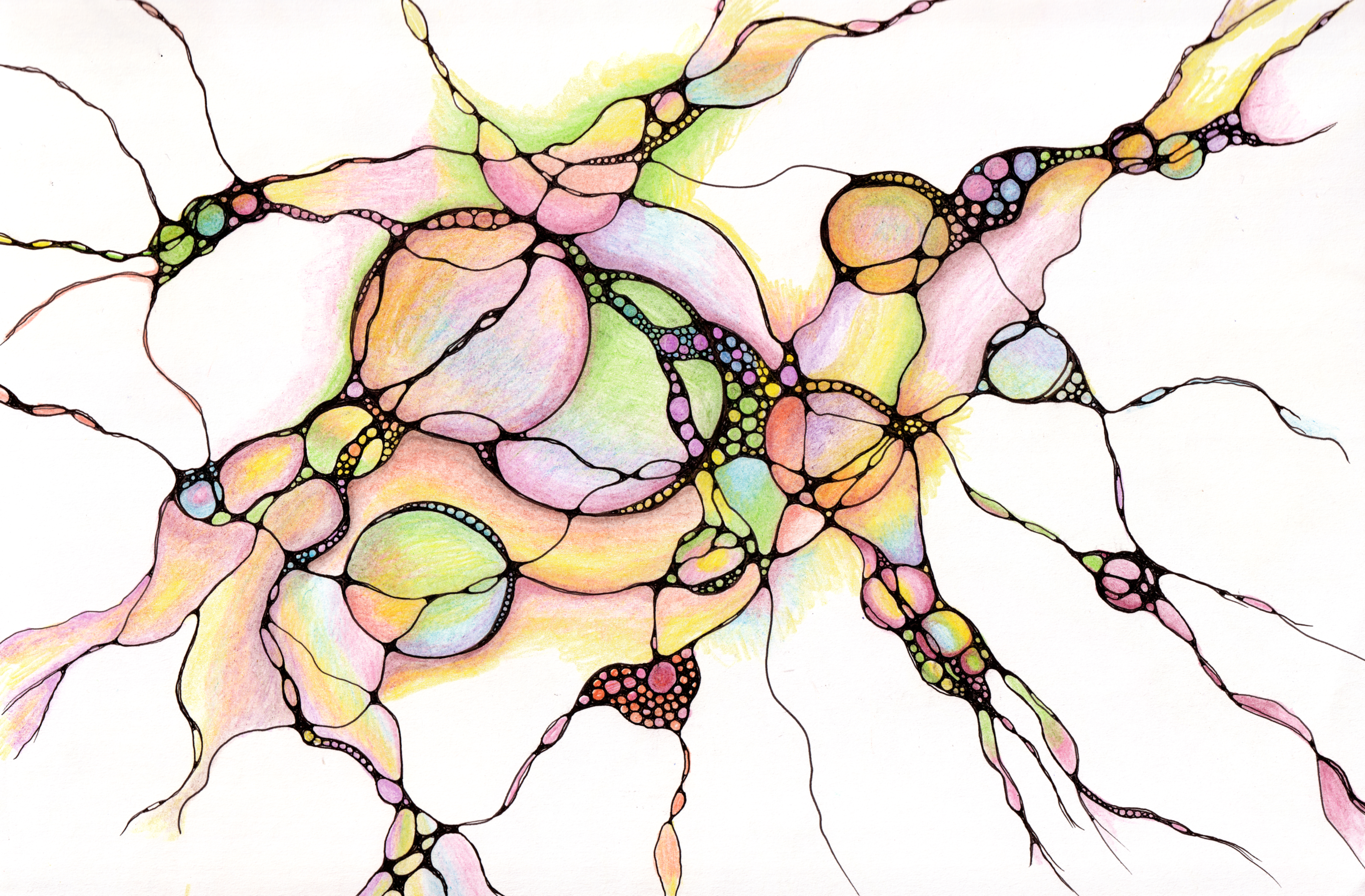 An illustration of cells