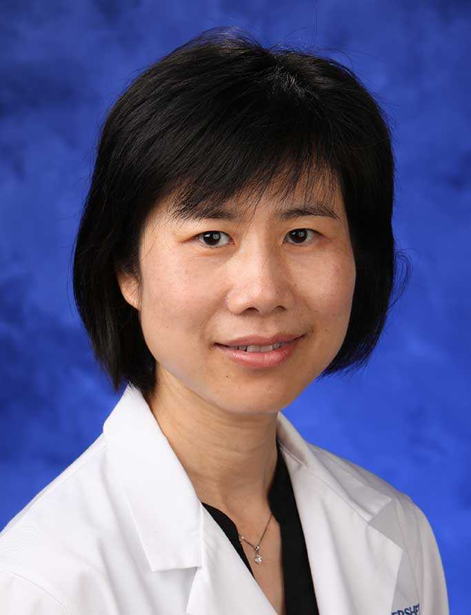 Preview image for “A Novel Patient-derived AML Model in Humanized Mice for Preclinical Studies of Leukemia Immunology”