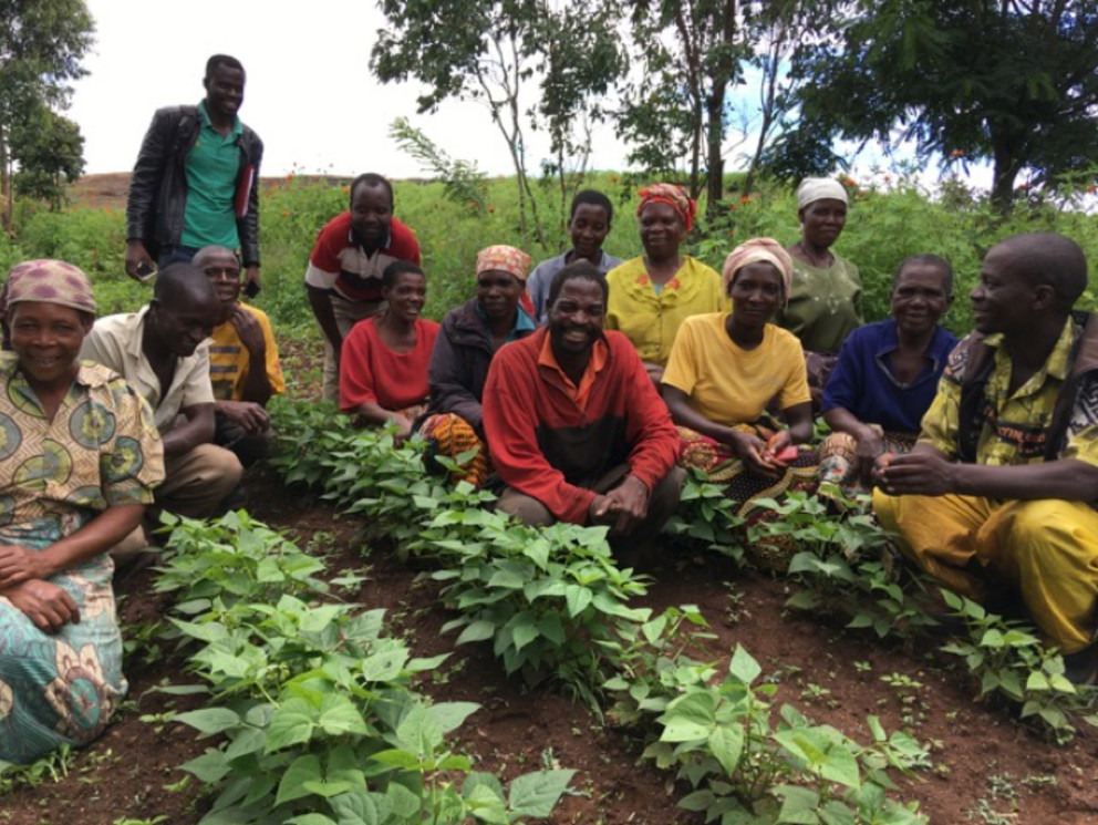 Farmers in Angonia, Mozambique, happy with the performance of new varieties of common bean developed by an international partnership of plant scientists that included researchers in Penn State's College of Agricultural Sciences, pose among plants in a bean field. Plant breeding field trials have been conducted with bean growers in multiple regions of the country in southeast Africa. IMAGE: JIMMY BURRIDGE