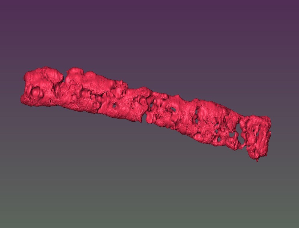 Reconstructed 3D image of porous tissue strand using magnetic resonance imaging. IMAGE: OZBOLAT LABORATORY / PENN STATE