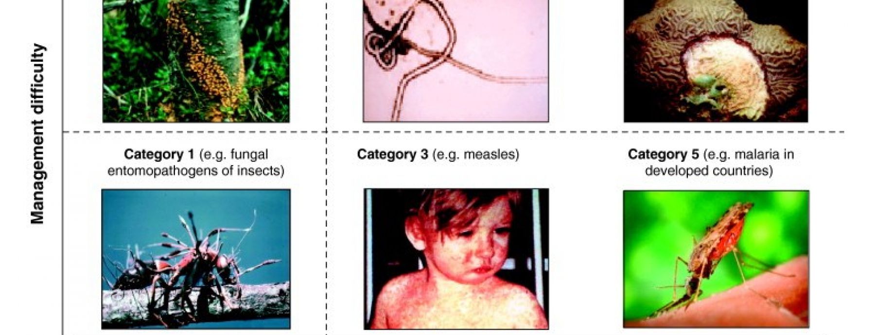 The study of climate change and its impact on disease