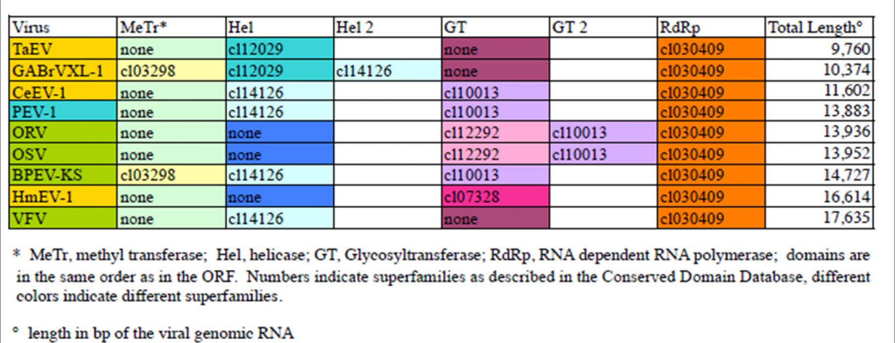 A comparative investigation of endornaviruses, a unique family of dsRNA viruses