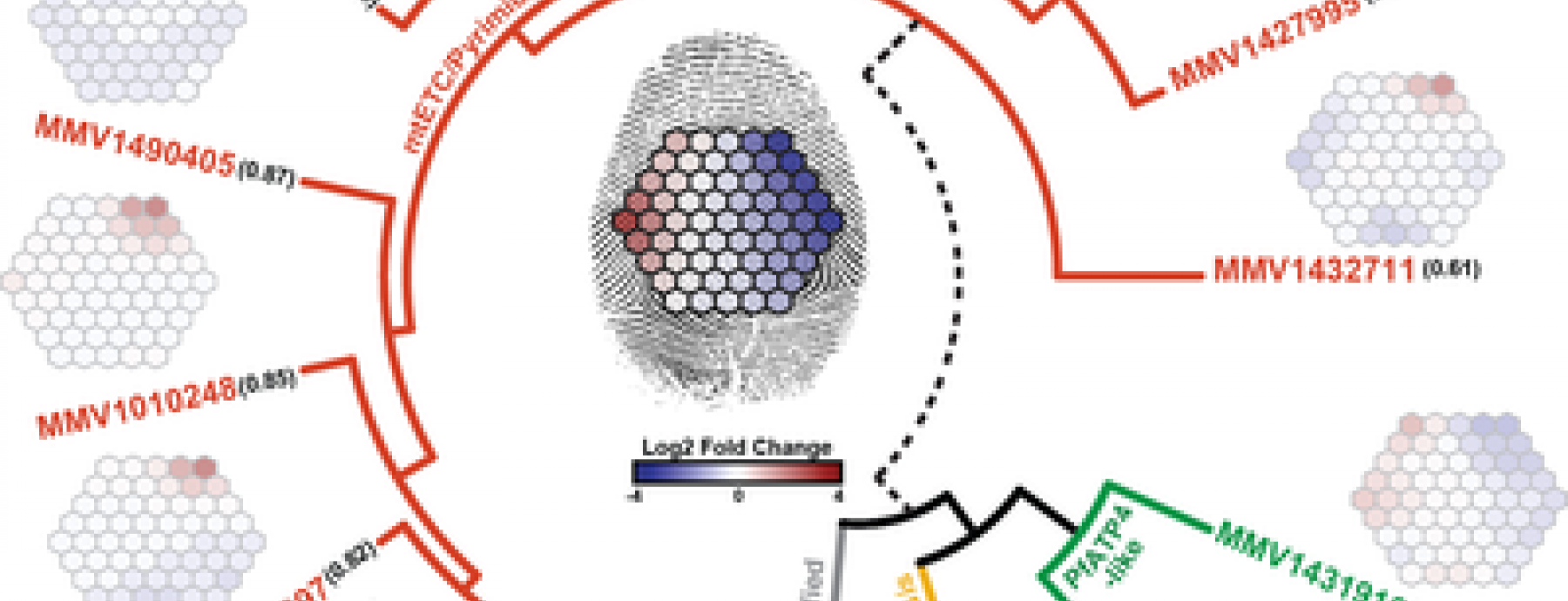 Potential for New Anti-Malarials Discovered through International Collaborative Study