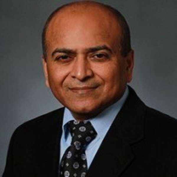 Vasant G. Honavar, professor and Edward Frymoyer Chair of Information Sciences and Technology at Penn State, has been named a Fellow of the American Association for the Advancement of Science (AAAS).