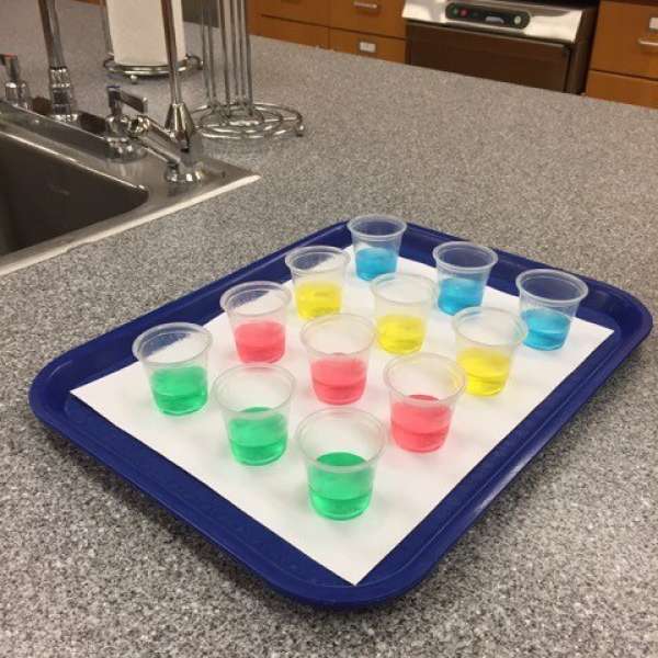 Representation of colored stimuli used in conditioning trials. IMAGE: MOLLY HIGGINS / PENN STATE