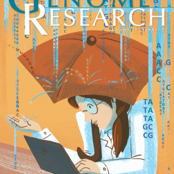 July 2019 Genome Research journal cover inspired by the work of Vijay Kumar Pounraja