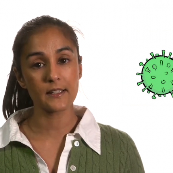Created by Penn State biology faculty members NIta Bharti and Matthew Ferrari in collaboration with WPSU, the video “What does the end look like?” discusses the uncertain future of the COVID-19 outbreak and the possible scenarios for its end. IMAGE: PENN STATE