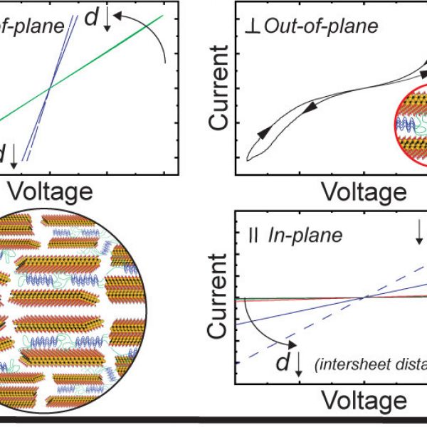 Biomimetic composites are produced by topological interactions, expanding the limits of the physical properties, such as electrical conductivity. IMAGE: MERT VURAL, PENN STATE
