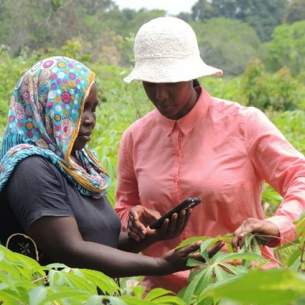 Two women in a field, using a smartphone to examine crops
