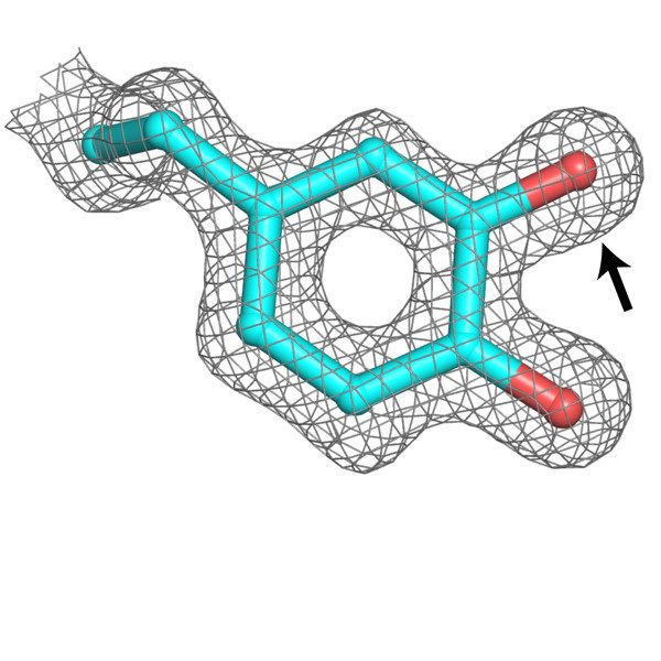 Artist's impression of a metal-free ribonucleotide reductase